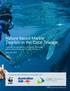 Nature-based Marine Tourism in the Coral Triangle