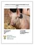 A PROFILE OF THE SOUTH AFRICAN PORK MARKET VALUE CHAIN