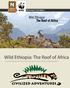 Wild Ethiopia: The Roof of Africa. Discover the Wonders of an Ancient Land Where Nature, Culture & History Are Equally Magnificent