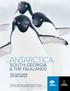 ANTARCTICA SOUTH GEORGIA & THE FALKLANDS WITH EXCLUSIVE OPPORTUNITIES ABOARD NATIONAL GEOGRAPHIC EXPLORER AND NATIONAL GEOGRAPHIC ORION 2018/19