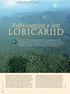 LORICARIID. Rediscovering a lost AMAZONAS