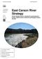 East Carson River Strategy