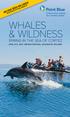 WHALES & WILDNESS SPRING IN THE SEA OF CORTEZ RECEIVE $500 AIR CREDIT PLUS $1,000 OFF KIDS UNDER 18