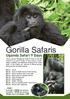 Gorilla Safaris. Uganda Safari 9 Days