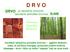 D R V O. DRVO je najvažniji proizvod savršene ekološke tvornice ŠUME. Fitocenoza Zoocenoza Biocenoza