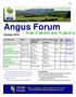 Angus Forum. New Zealand and Australia. October Australia Pre-Tour Oct 6-13, New Zealand South Island Pre-Tour