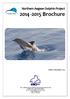 Brochure. Northern Aegean Dolphin Project. Athens, November 2014