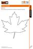 Level 3 Advanced. Cool in Canada 1 WARMER. Work in pairs and write ten things that you associate with Canada into the maple leaf.