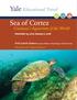 Sea of Cortez. Cousteau's Aquarium of the World. December 25, 2015 January 2, 2016