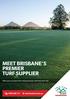 MEET BRISBANE S PREMIER TURF SUPPLIER. What you can expect from doing business with Twin View Turf twinviewturf.com.