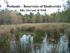 Wetlands Reservoirs of Biodiversity. Billy McCord, SCDNR