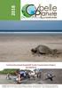 Community-based Hawksbill Turtle Conservation Project, NICARAGUA