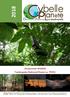 Amazonian Wildlife Tambopata National Reserve, PERU