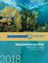10 Years of Collaboration & Conservation MESOAMERICAN REEF REPORT CARD AN EVALUATION OF ECOSYSTEM HEALTH