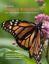 Monarch Butterflies and Their Habitat across North America