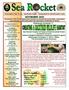 Florida Native Plant Society ~ Sea Rocket Chapter ~ Serving North & Central Brevard County NOVEMBER 2010