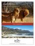 South Africa CULTURAL & WILDLIFE ADVENTURE 9 DAYS