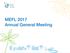MEFL 2017 Annual General Meeting