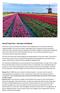 Grand Tulip Tour the best of Holland