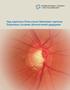 ICO Guidelines for Glaucoma Eye Care. Нүд судлалын Олон улсын Зөвлөлөөс гаргасан Глаукомын тусламж үйлчилгээний удирдамж