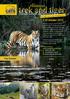 Cats Protection Himalayan trek and tiger conservation experience 7 19 October 2017