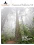 SAVIORS IN OUR MIST LINKING THE NATURE-DEPRIVED TO REDWOODS IMPROVES SOCIETY S HEALTH
