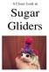 A Closer Look at. Sugar Gliders