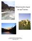 Wild and Scenic River Proposal for The Upper Verde River