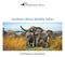 Southern Africa Wildlife Safari. Pre-Departure Information