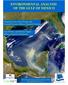 ENVIRONMENTAL ANALYSIS OF THE GULF OF MEXICO