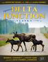 your adventure begins at the end of the Alaska Highway delta junction Business, Community and Visitor Guide provided by Delta Chamber of Commerce