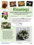 Gleanings. a monthly newsletter from The Gesneriad Society, Inc. Volume 4, Number 8 August 2013