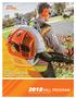 Featuring: Savings on the MS 250 and the MS 391 Chain Saws! Program Period: August 1 - October 31, STIHL/NES