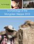 Archaeology of the Mongolian Steppe 2013