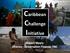 Caribbean Challenge Initiative