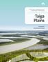 Taiga Plains Ecosystem Classification Group