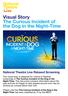 Visual Story The Curious Incident of the Dog in the Night-Time