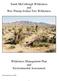 South McCullough Wilderness and Wee Thump Joshua Tree Wilderness. Wilderness Management Plan and Environmental Assessment