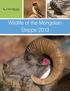 Wildlife of the Mongolian Steppe 2013
