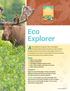 Eco Explorer. Steps. Purpose