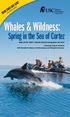 Whales & Wildness: Spring in the Sea of Cortez BOOK EARLY AND SAVE! April 15-22, 2017 Aboard National Geographic Sea Bird
