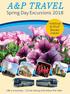 Spring Day Excursions 2018