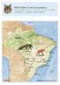 An Introduction to the Wildlife of Brazil - 75 Days