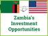 Zambia s Investment Opportunities