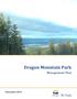 Dragon Mountain Park. Management Plan