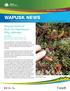 Wapusk National Park Use Regulations Why celebrate?