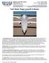 Technical Sheet: Rutan Long-EZ & Berkut