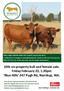 10th on-property bull and female sale. Friday February 23, 1.30pm Blue Hills 247 Pugh Rd, Narrikup, WA.