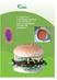 E. coli O157:H7 in beefburgers produced in the Republic of Ireland: A quantitative microbial risk assessment