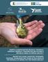 PROTIV. Izveštaj o nezakonitom ubijanju, trovanju, hvatanju, držanju i trgovini divljim pticama u RepubliCI SrbijI za period